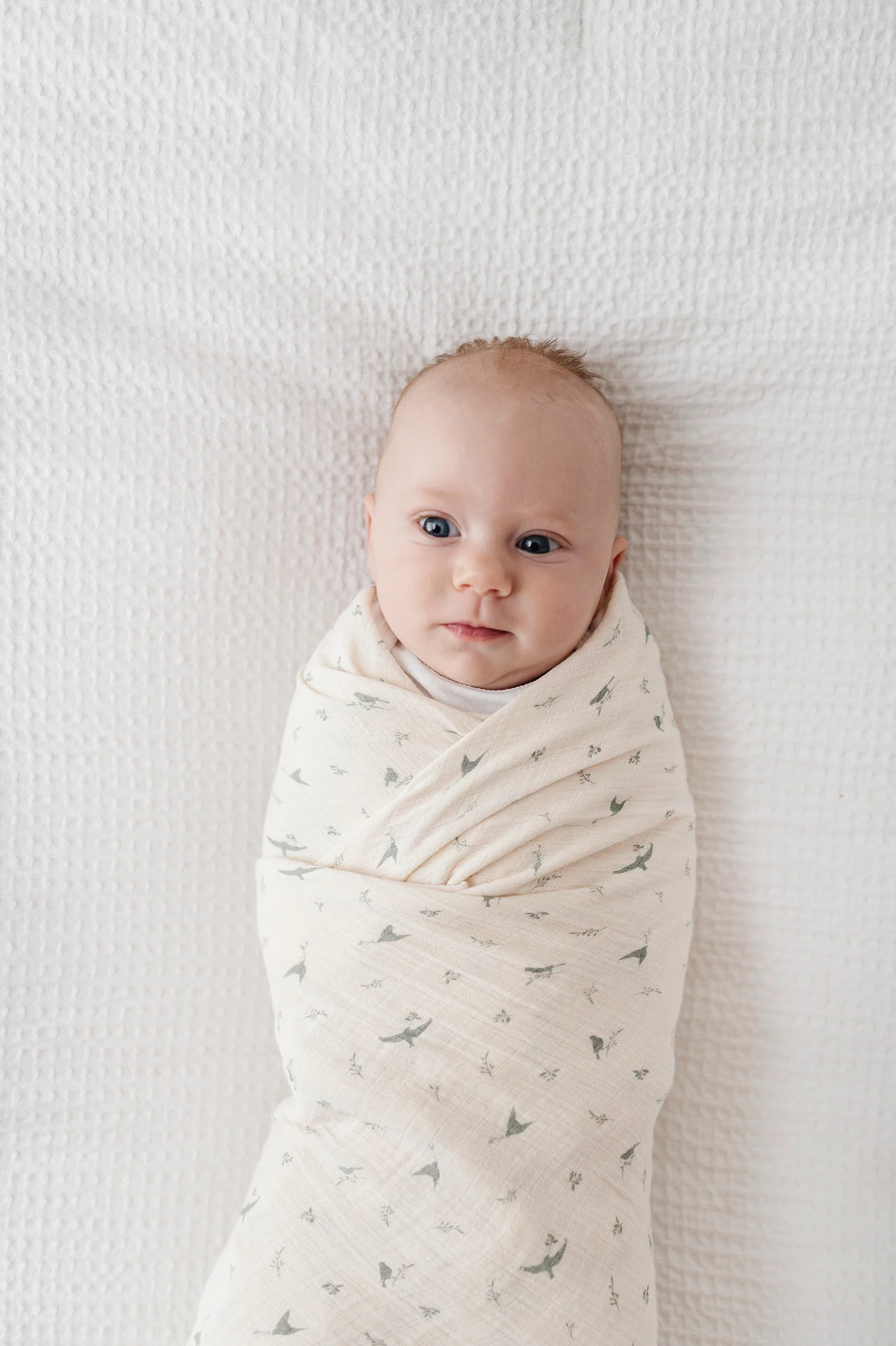 Cotton Muslin Swaddle Blanket - Sage Bird - Image 5