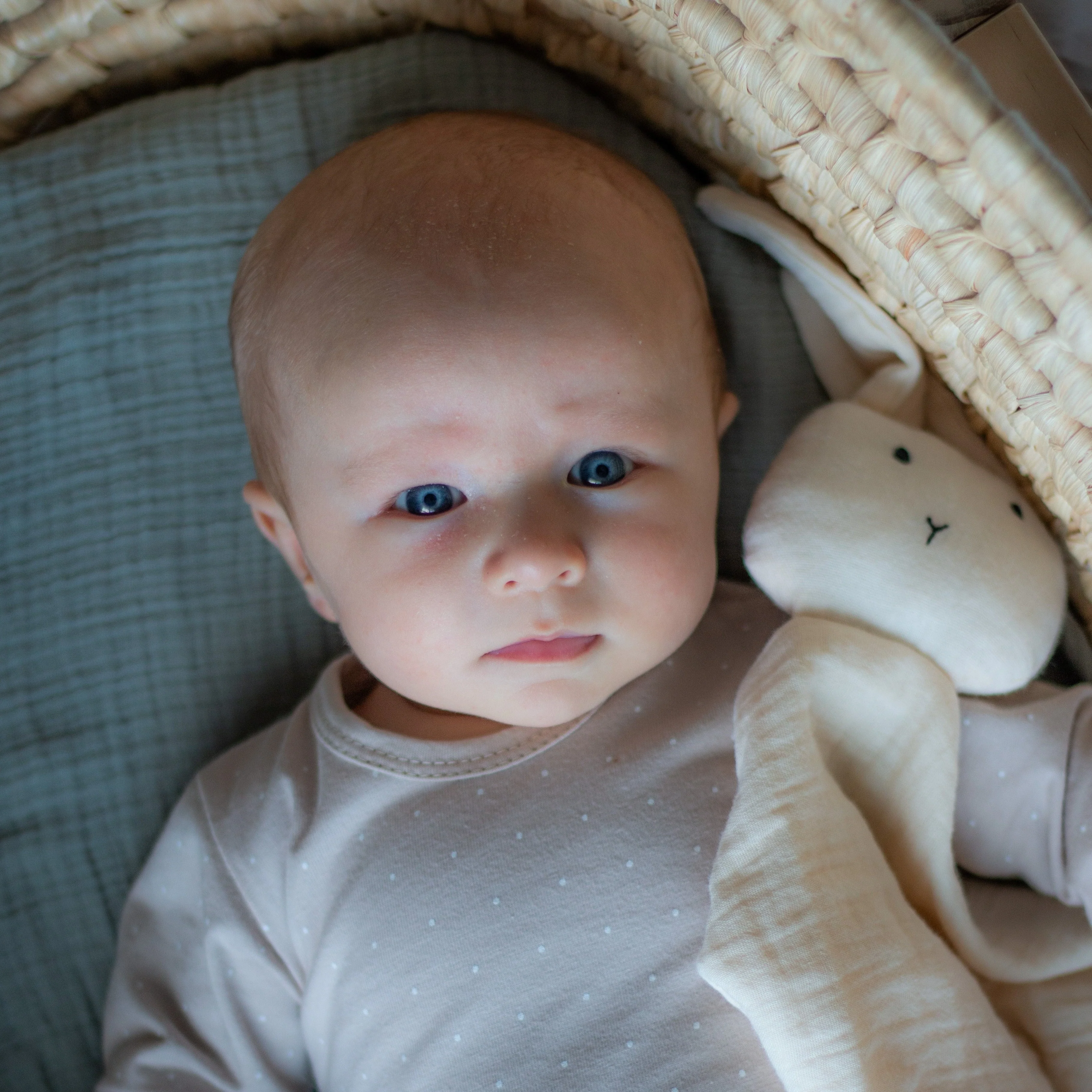 Cotton Muslin Swaddle Blanket - Image 5