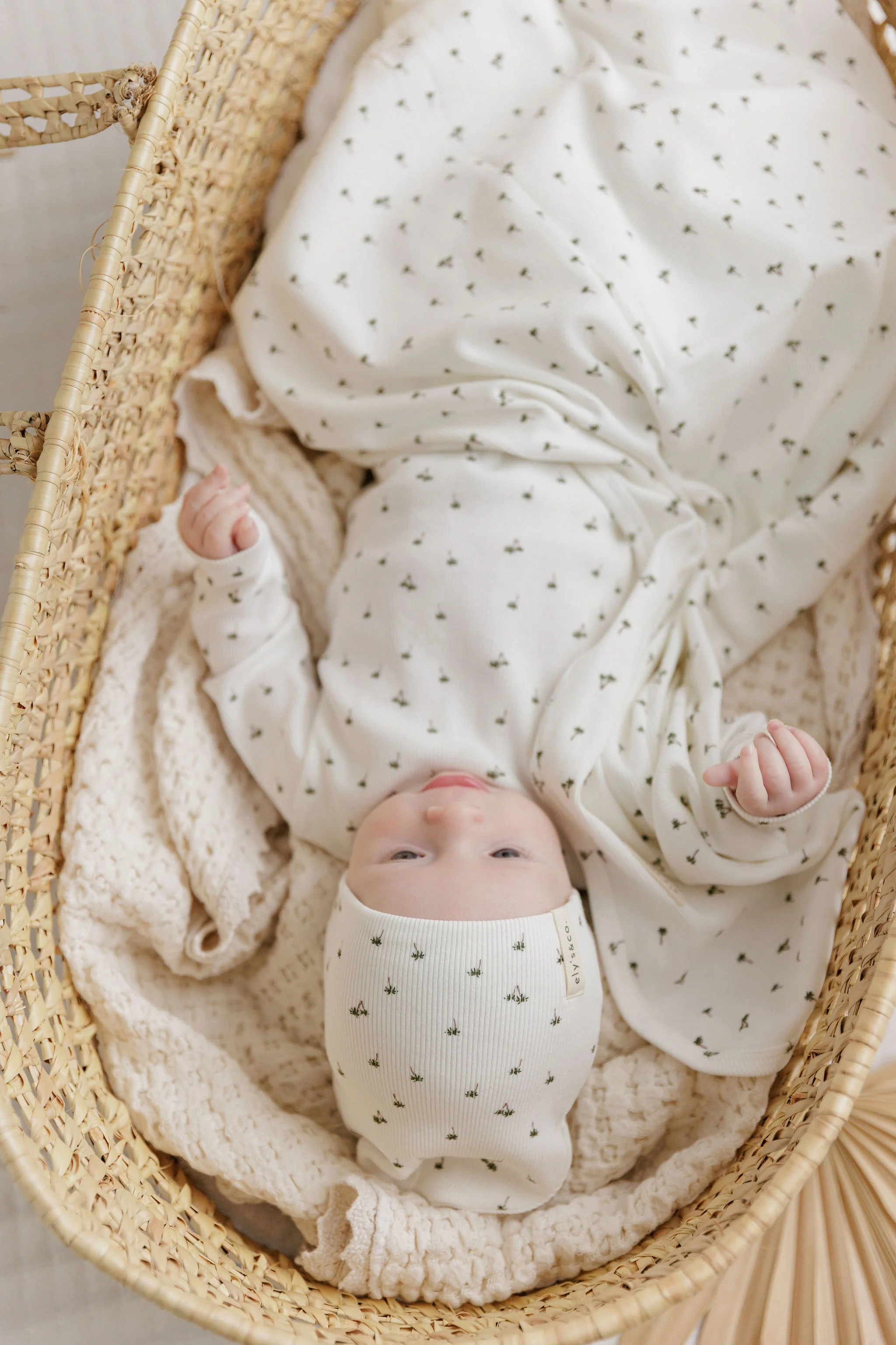 Baby Boy Footie and Beanie Set - Ivory - Printed Palm Trees - Image 5