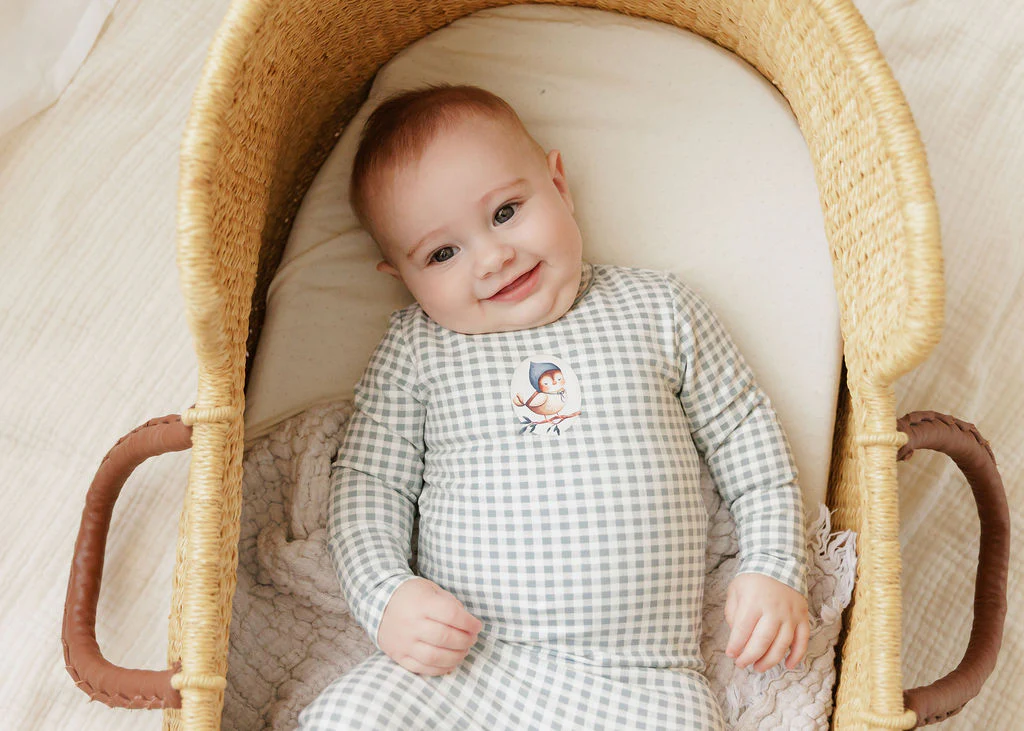 Baby Boy Footie - Blue - Gingham Owl - Image 2