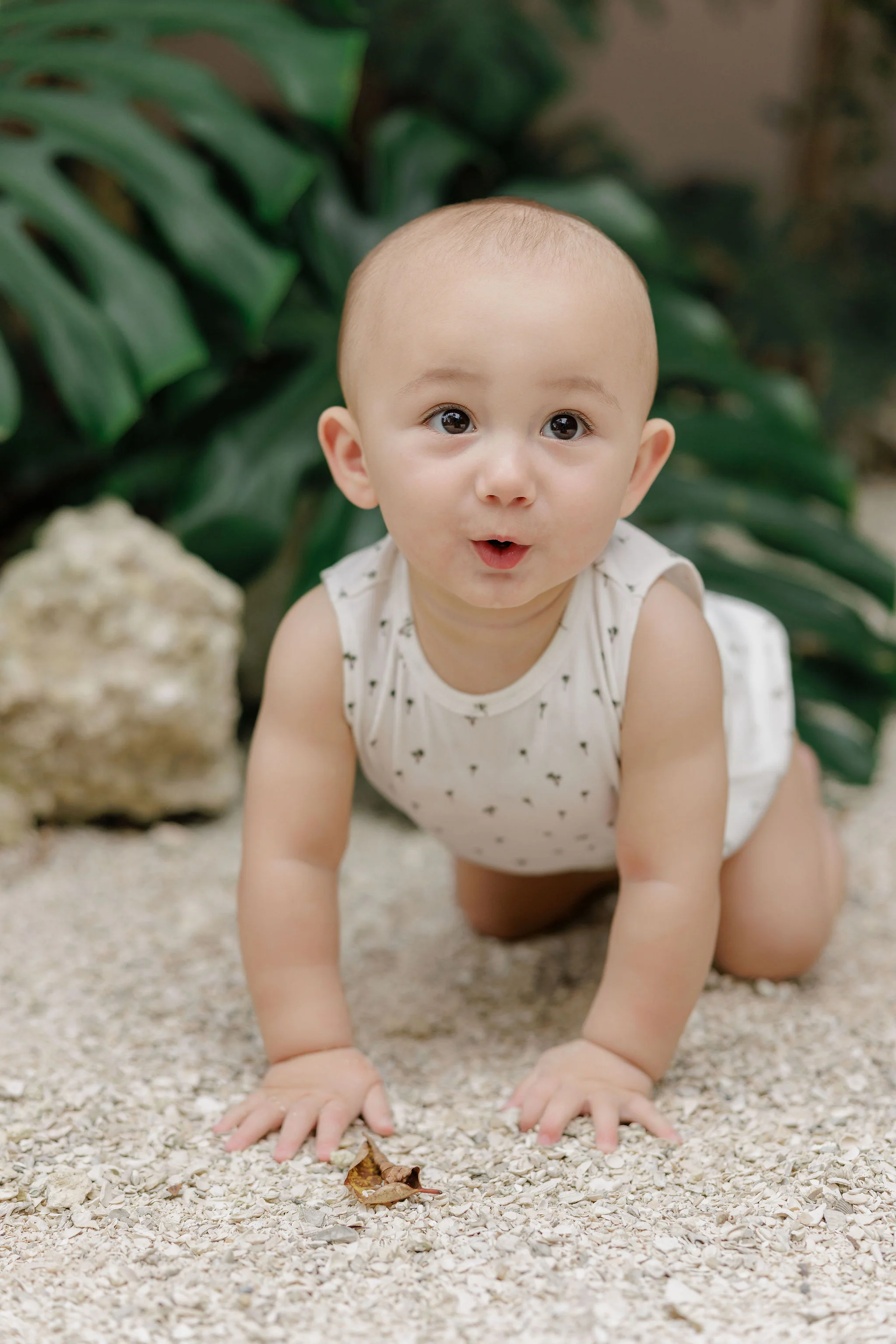 Baby Boy Romper - Ivory - Printed Palm Trees - Image 3