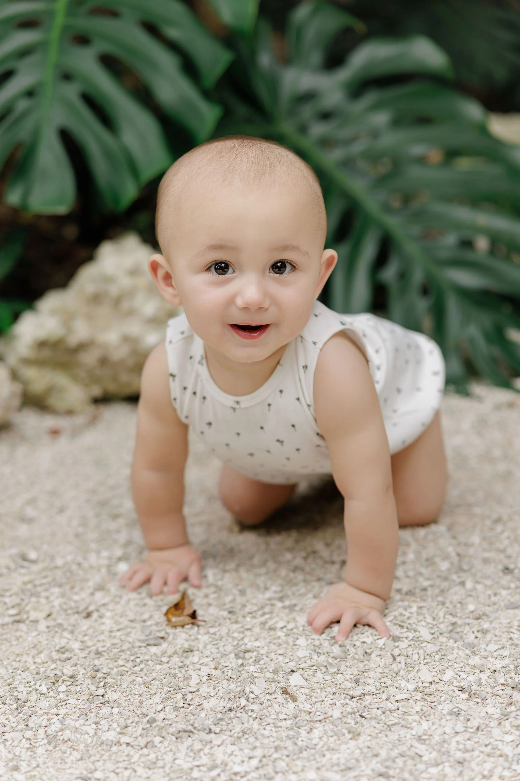 Baby Boy Romper - Ivory - Printed Palm Trees - Image 4