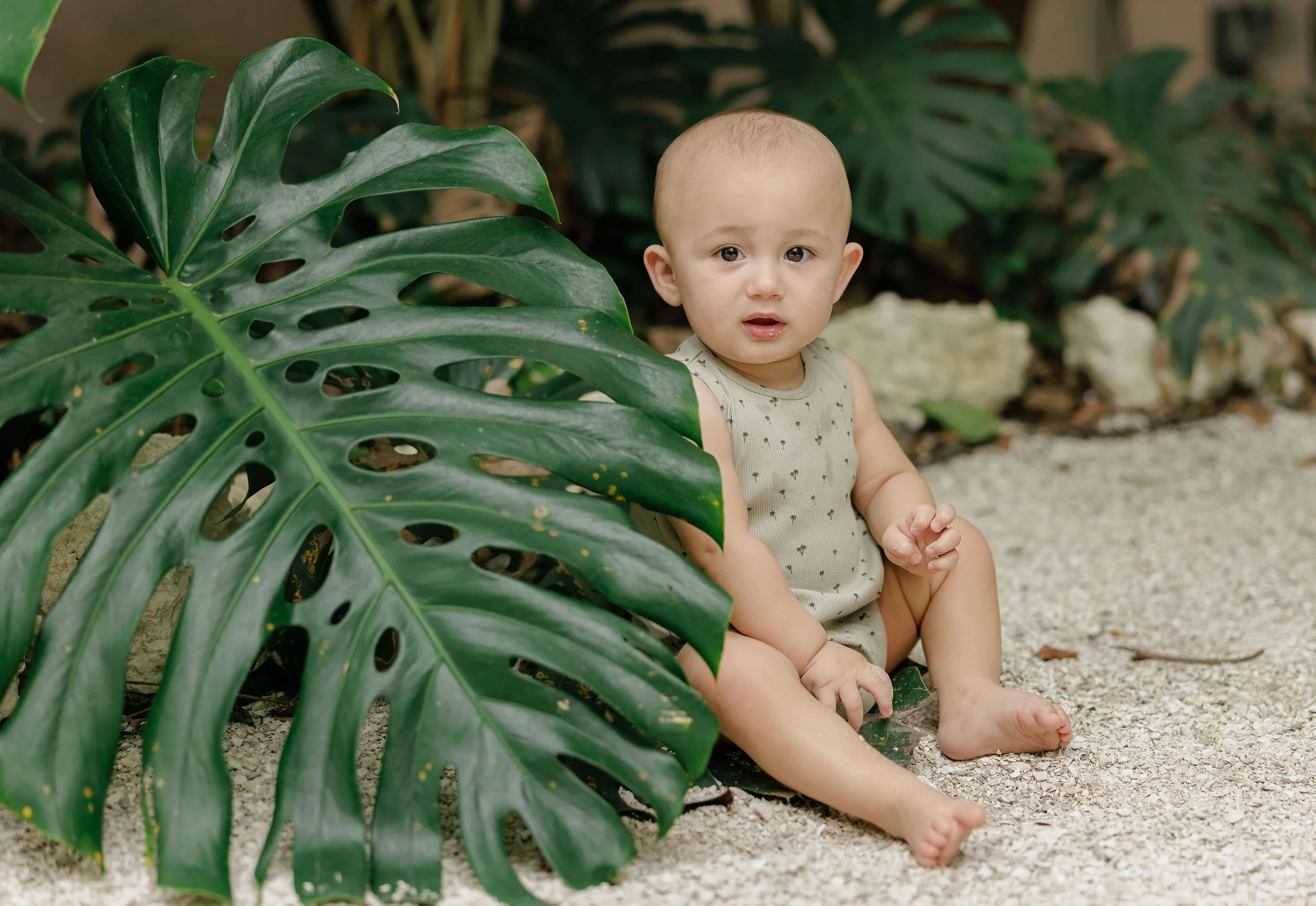 Baby Boy Romper - Sage - Printed Palm Trees - Image 3