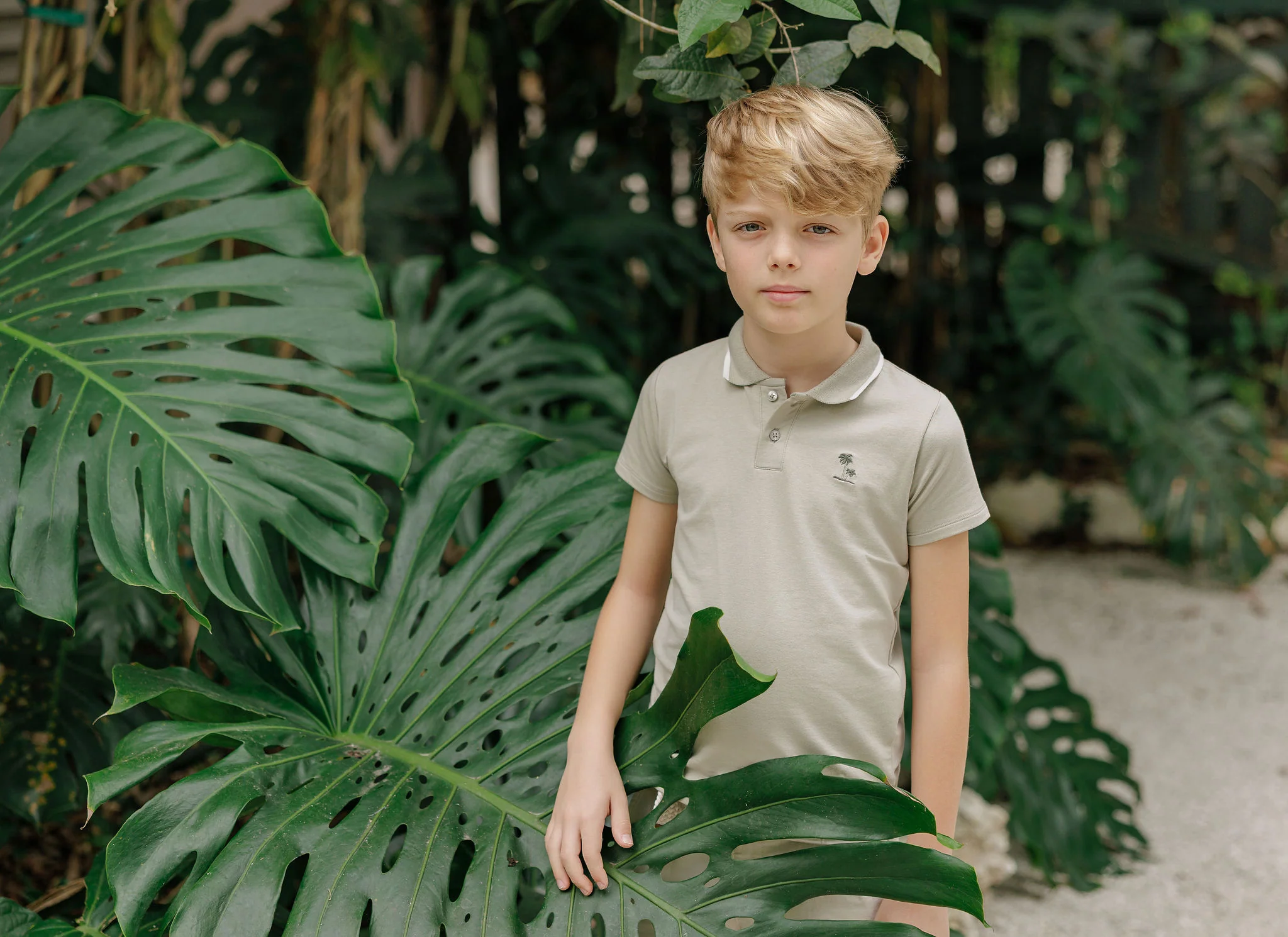 Boys Polo - Sage - Embroidered Palm Trees - Image 3