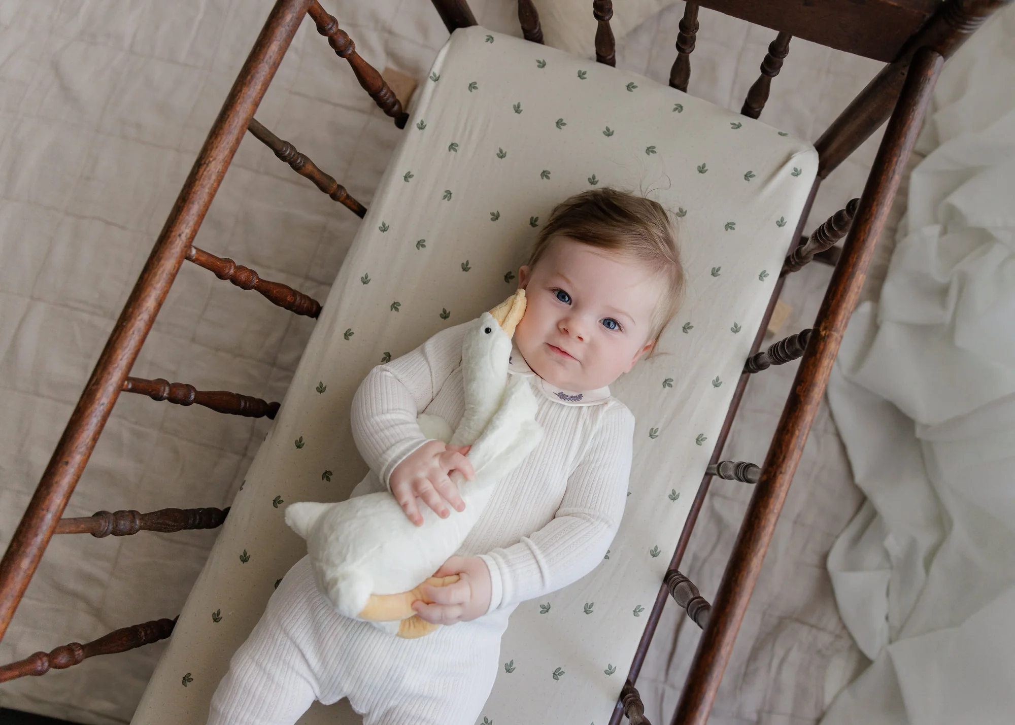 Organic Cotton Embroidered Collar Collection - Bib - Image 10