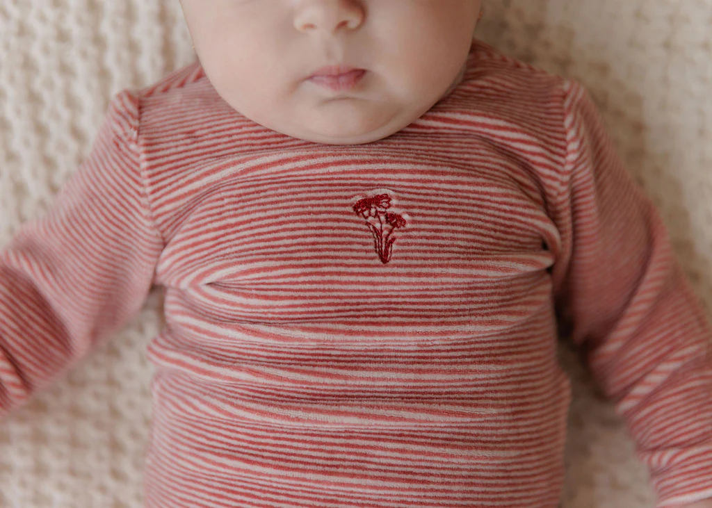 Velour Stripe Collection - Take Me Home Set - Image 3